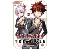 KNYGA Bookshop Ayakashi Triangle Vol. 14