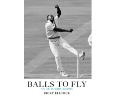 KNYGA Bookshop Balls to Fly