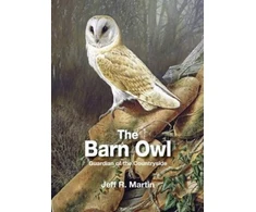 KNYGA Bookshop Barn Owl