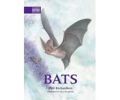 KNYGA Bookshop Bats