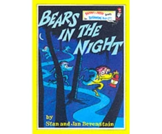 KNYGA Bookshop Bears in the Night