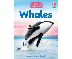 KNYGA James Maclaine Beginners Whales