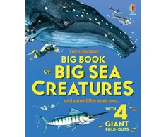 KNYGA Bookshop Big Book of Big Sea Creatures