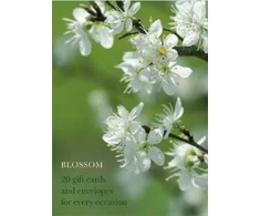 KNYGA Bookshop Blossom Large Card Box