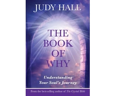 KNYGA Bookshop Book of Why