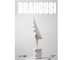 KNYGA Bookshop Brancusi