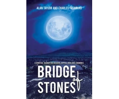 KNYGA Bookshop Bridge of Stones