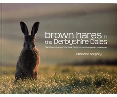 KNYGA Bookshop Brown Hares in the Derbyshire Dales