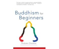 KNYGA Bookshop Buddhism for Beginners
