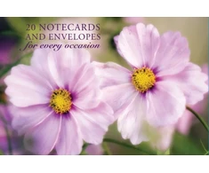 KNYGA Bookshop Card Box of 20 Notecards and Envelopes: Rožinė Cosmos