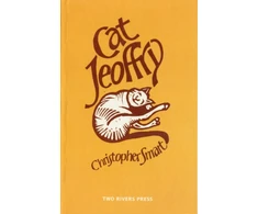 KNYGA Bookshop Cat Jeoffry