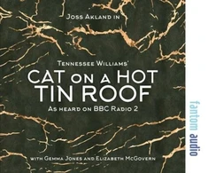 KNYGA Bookshop Cat on a Hot Tin Roof