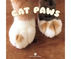 KNYGA Bookshop Cat Paws