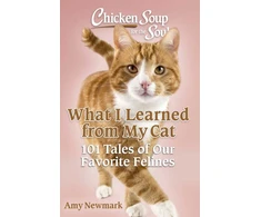 KNYGA Bookshop Chicken Soup for the Soul: What I Learned from My Cat
