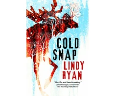KNYGA Bookshop Cold Snap