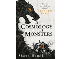 KNYGA Bookshop Cosmology of Monsters