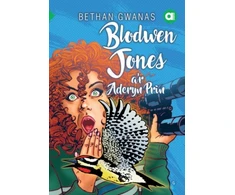 KNYGA Bookshop Cyfres Amdani: Blodwen Jones a'r Aderyn Prin