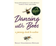 KNYGA Bookshop Dancing with Bees