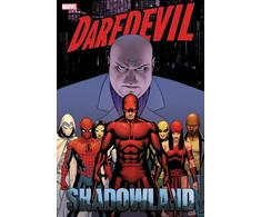 KNYGA Andy Diggle Daredevil: Shadowland Omnibus Cassaday Cover (New Printing)