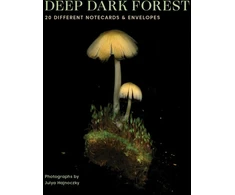 KNYGA Bookshop Deep Dark Forest Notes
