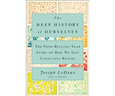 KNYGA Bookshop Deep History of Ourselves