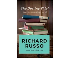 KNYGA Bookshop Destiny Thief