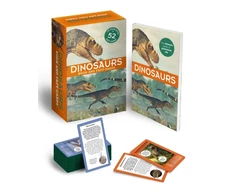 KNYGA Bookshop Dinosaurs: Book and Fact Cards
