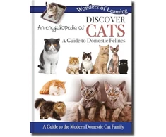 KNYGA Bookshop Discover an Encyclopedia of Cats