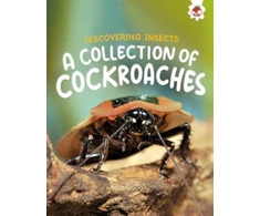 KNYGA Bookshop Discovering Insects: A Collection of Cockroaches