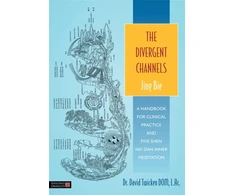 KNYGA Bookshop Divergent Channels - Jing Bie