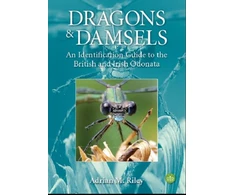 KNYGA Bookshop Dragons and Damsels