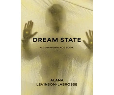 KNYGA Bookshop Dream State