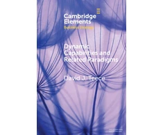 KNYGA Bookshop Dynamic Capabilities and Related Paradigms