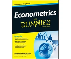 KNYGA Bookshop Econometrics For Dummies
