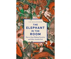 KNYGA Bookshop Elephant in the Room