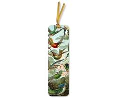 KNYGA Bookshop Ernst Haeckel: Hummingbirds Bookmarks (pack of 10)