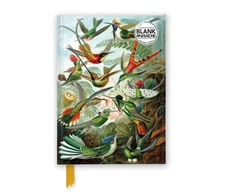 KNYGA Bookshop Ernst Haeckel: Hummingbirds (Foiled Blank Journal)