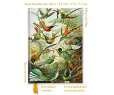 KNYGA Bookshop Ernst Haeckel: Hummingbirds (Foiled Quarto Journal)
