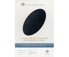 KNYGA Bookshop ESV Large Print Thinline Reference Bible