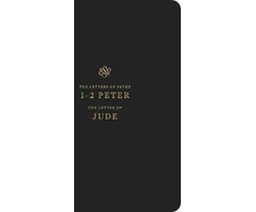 KNYGA Bookshop ESV Scripture Journal