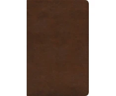 KNYGA Bookshop ESV Spanish/English Parallel Bible