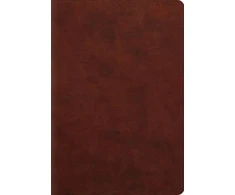 KNYGA Bookshop ESV Student Study Bible