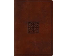 KNYGA Bookshop ESV Study Bible