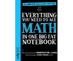 KNYGA Bookshop Everything You Need to Ace Math in One Big Fat Notebook