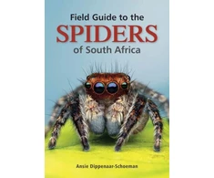 KNYGA Bookshop Field Guide to the Spiders of South Africa