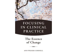 KNYGA Bookshop Focusing in Clinical Practice