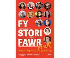 KNYGA Bookshop Fy Stori Fawr Arall