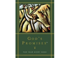KNYGA Bookshop God's Promises for Your Every Need