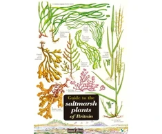 KNYGA Bookshop Guide to the Saltmarsh Plants of Britain