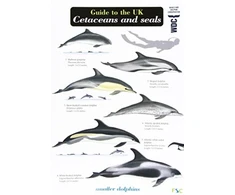 KNYGA Bookshop Guide to the UK Cetaceans and Seals